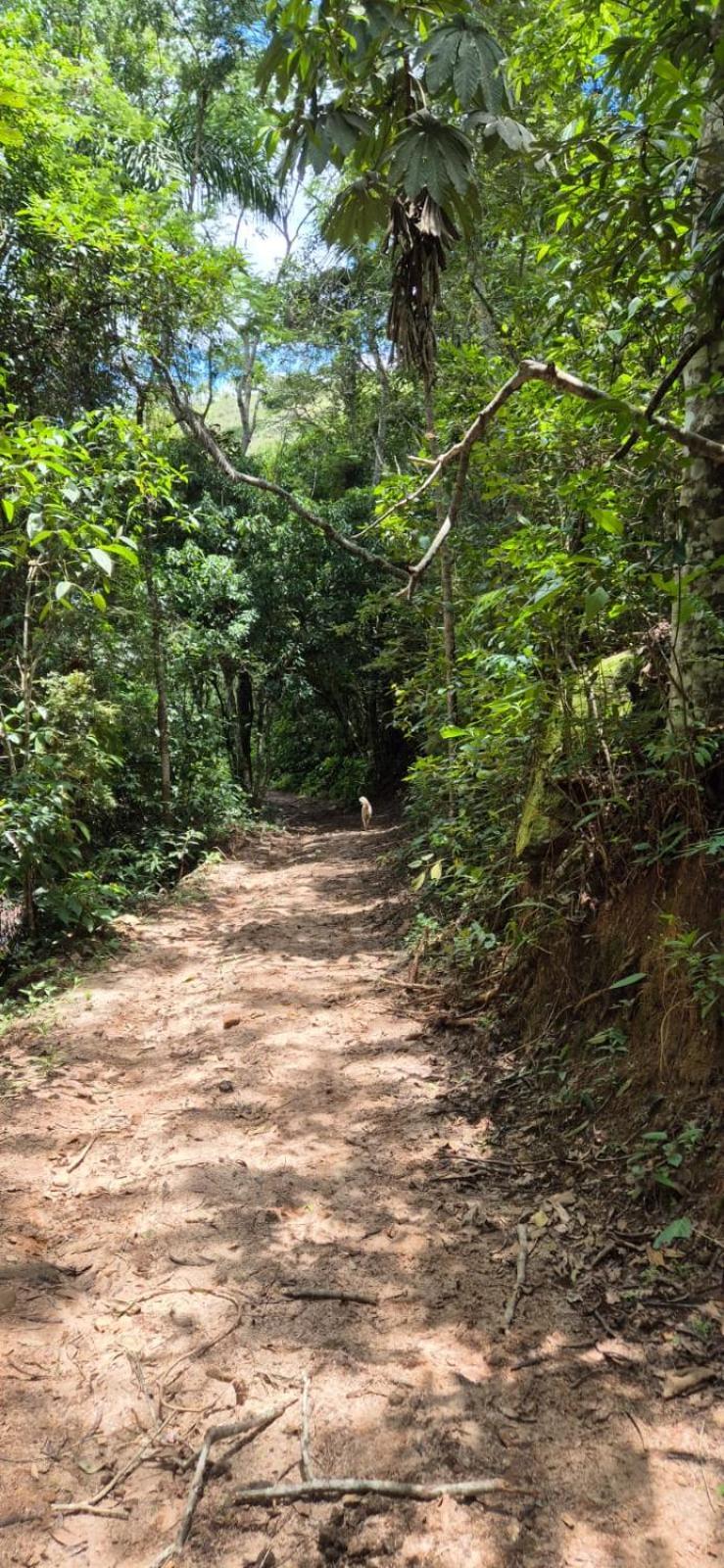 Pousada Fazenda e Pesqueiro Chalé da serra Conceição da Ibitipoca Exterior foto