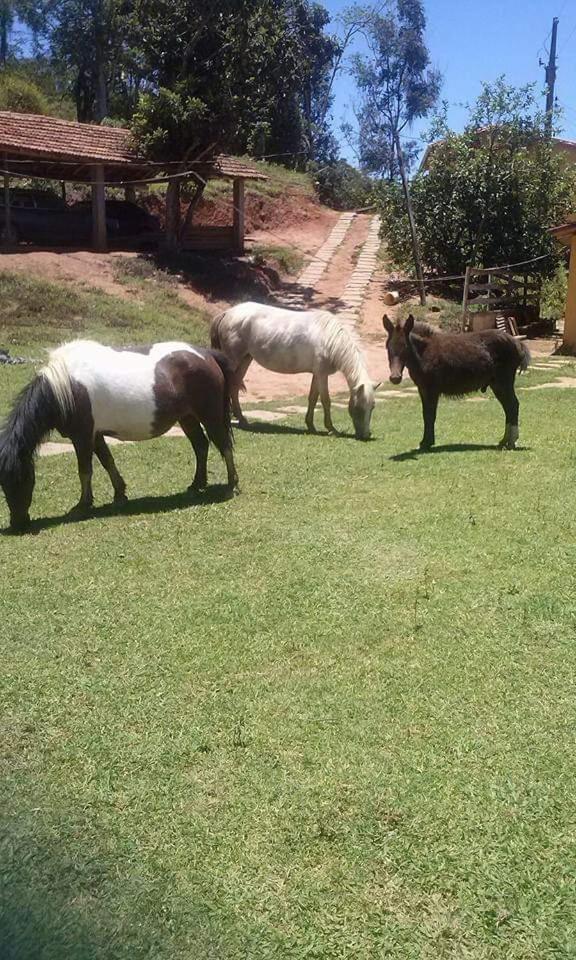 Pousada Fazenda e Pesqueiro Chalé da serra Conceição da Ibitipoca Exterior foto